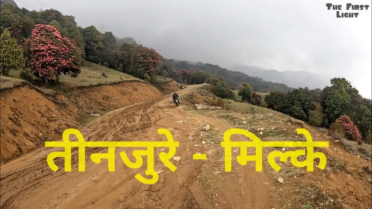 TMJ Area | Basantapur To Gupha Pokhari | Rhododendron | Motorbiking | Beautiful Scenery