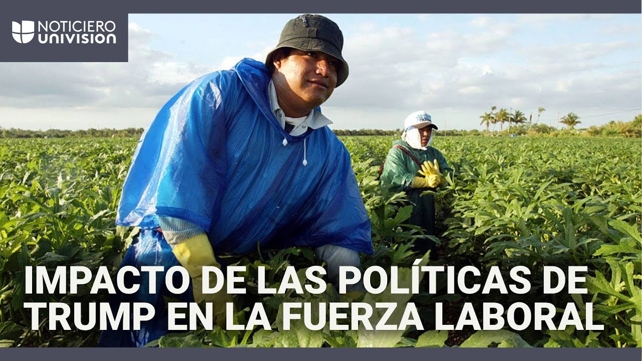 El impacto de las pol&iacute;ticas migratorias de Trump en la fuerza laboral y en la econom&iacute;a de EEUU