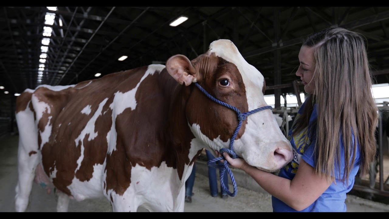 The Dairy Research and Training Facility