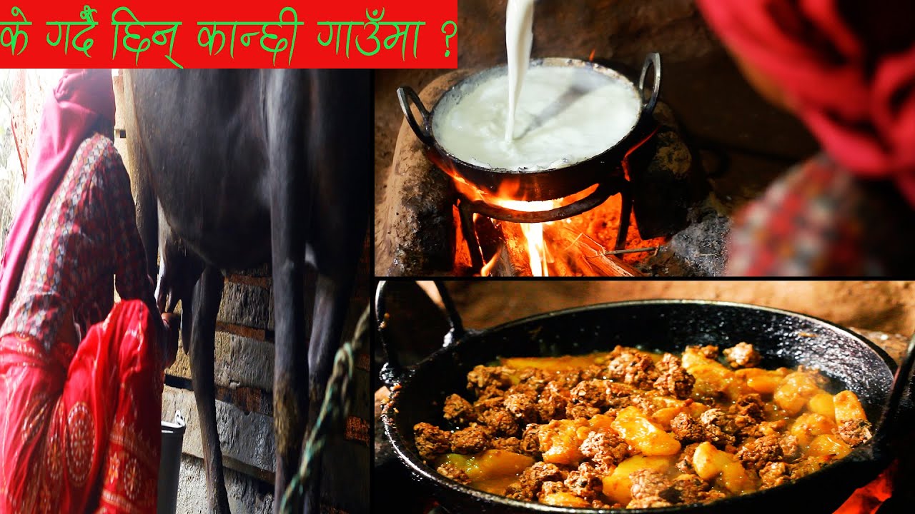 के गर्छिन् कान्छी विहानैदेखि ? || Nepali Village Housewife Life || Masaura recipe || KanchhiKitchen