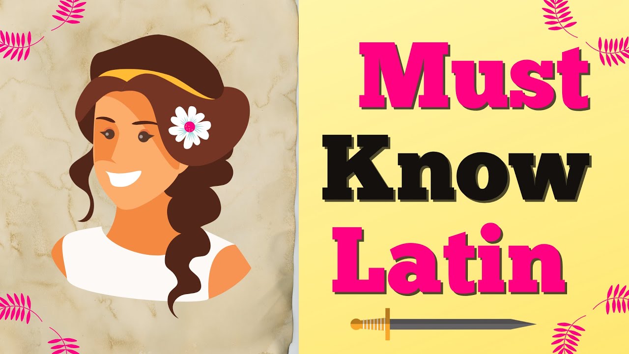 Latin words in English [roots and prefixes]