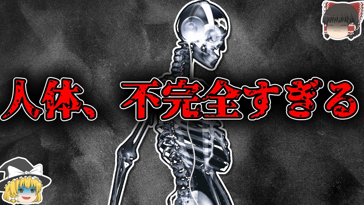 【知らなきゃよかった雑学】人体の欠陥4選【ゆっくり解説】