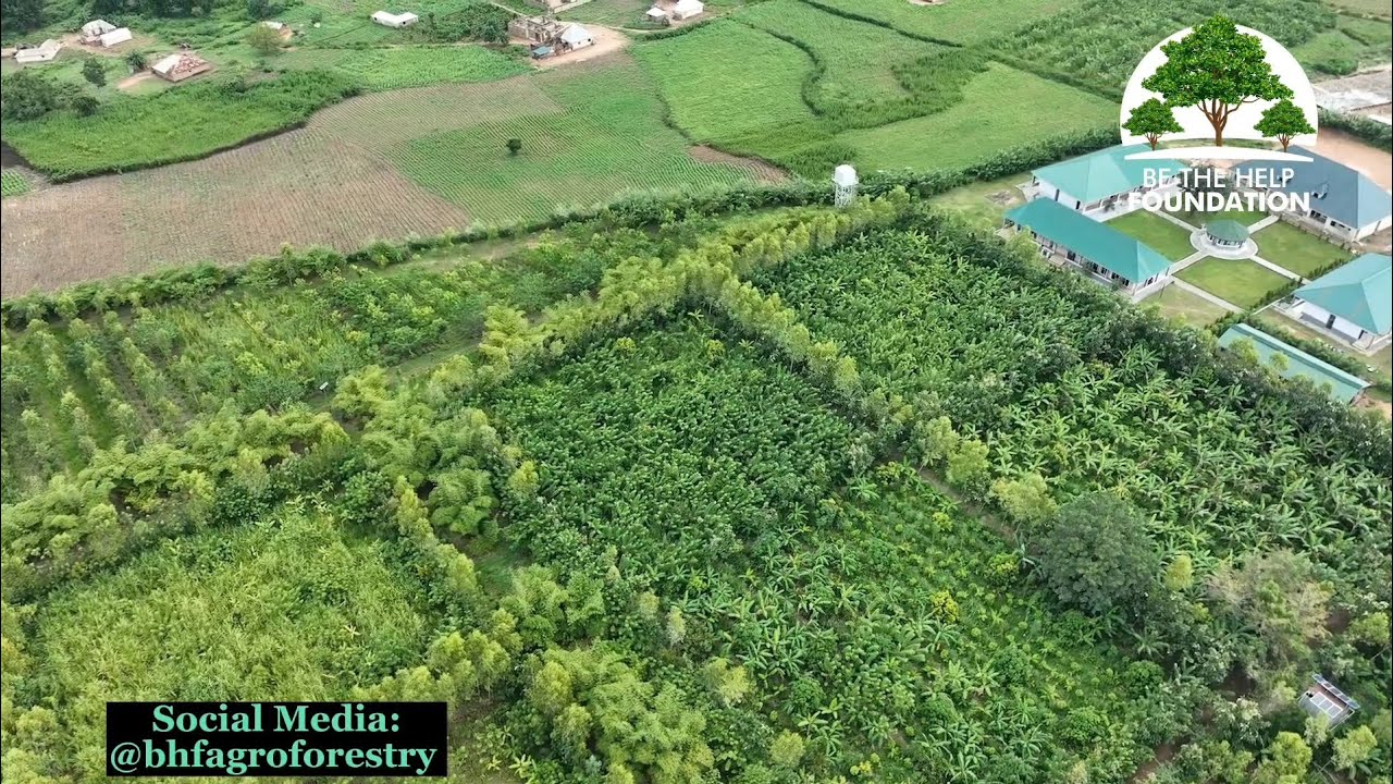 BHF AGROFORESTRY: Our Two Models Of Practice