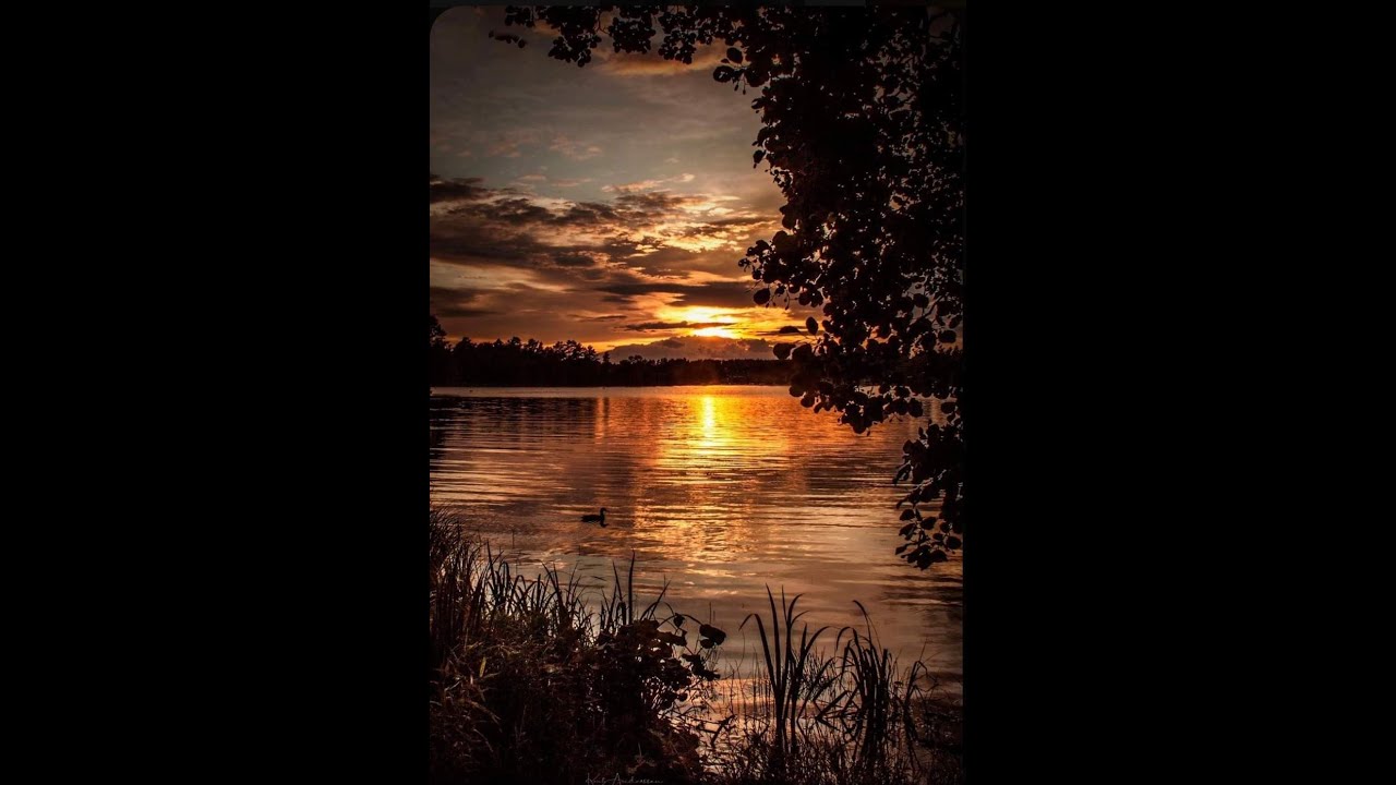 A Nightly Ritual of Peace Meditation