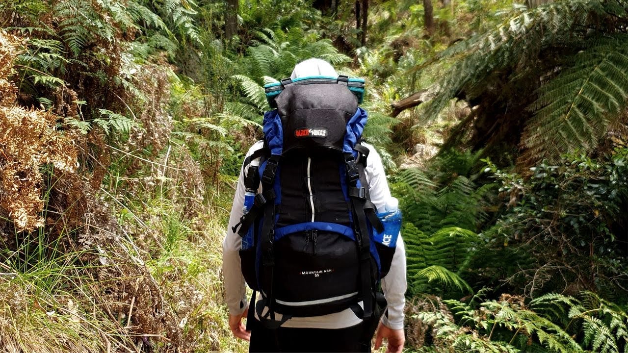 Solo Hiking the Beeripmo Walk in Mount Buangor State Park
