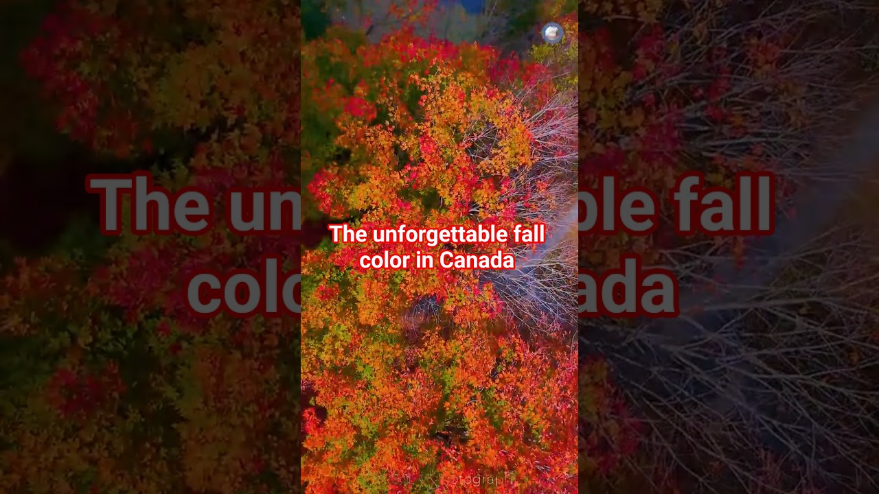 The autumn leaves-8 unforgettable fall color! #canada #fall #travel