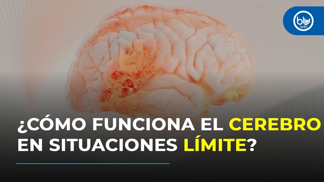 ¿Por qué el cerebro colapsa en la adversidad y cómo entrenarlo para liderar mejor?