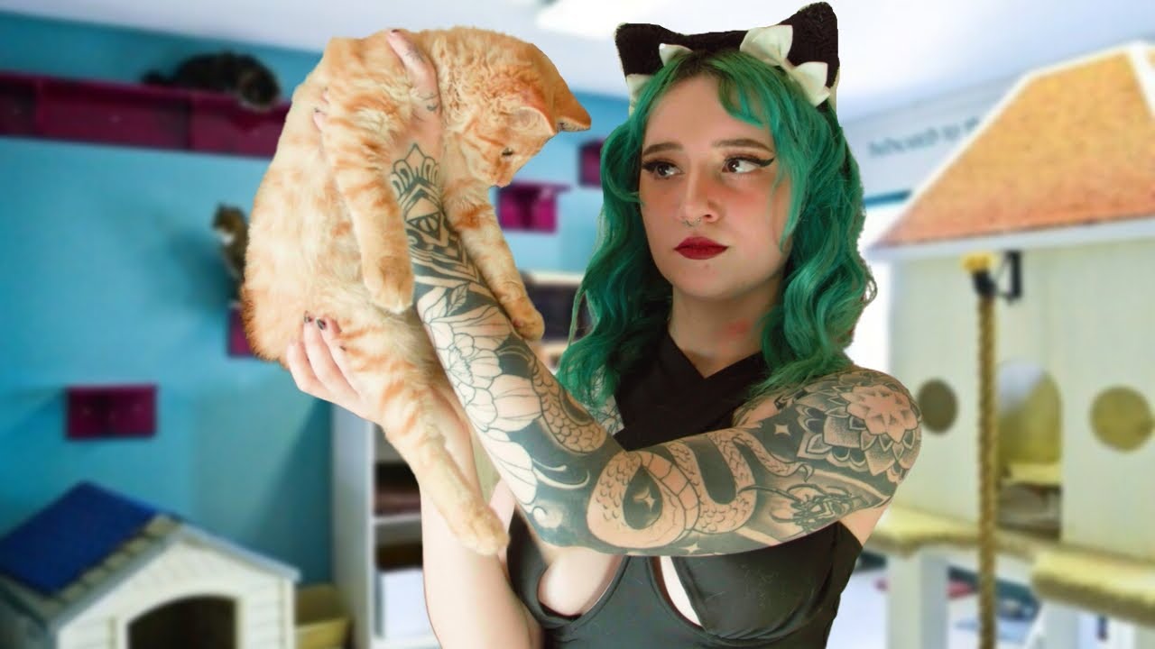 My Life As A Cat Girl (PART 2)
