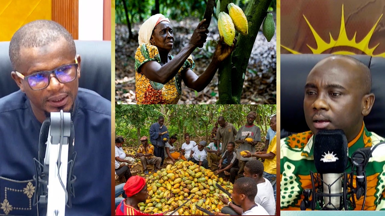 Politicisation of the cocoa sector challenges is not best, Alhaji Abdul Issah Salam. CPP Secretary.