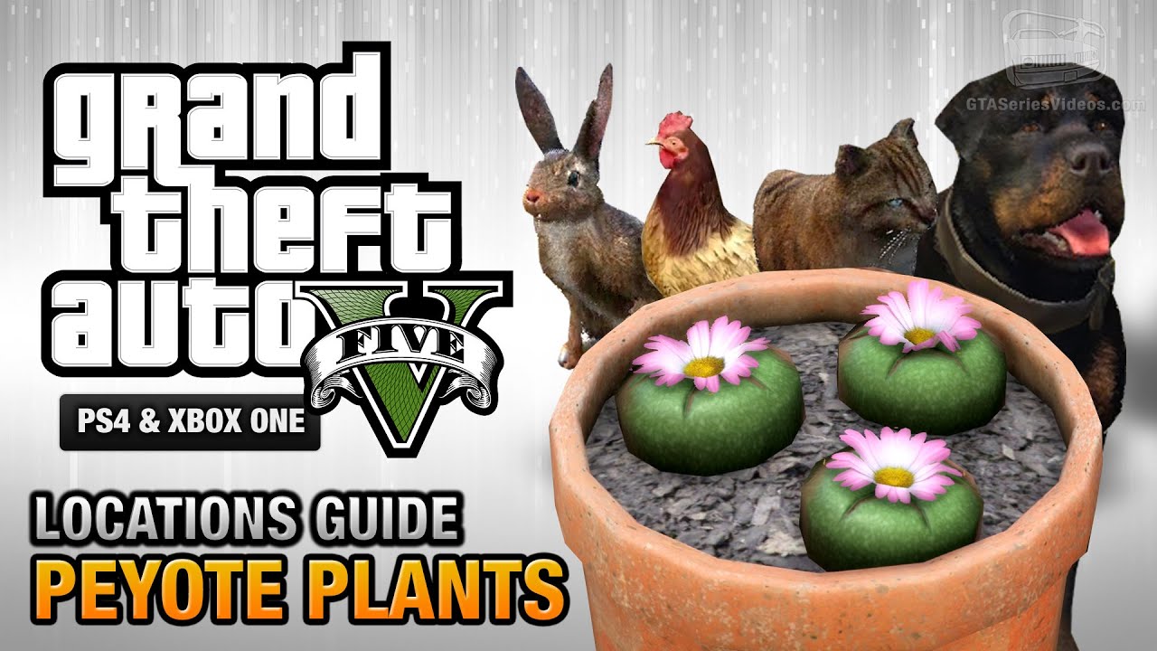 GTA 5 - Peyote Plants Location Guide (Play as an Animal)