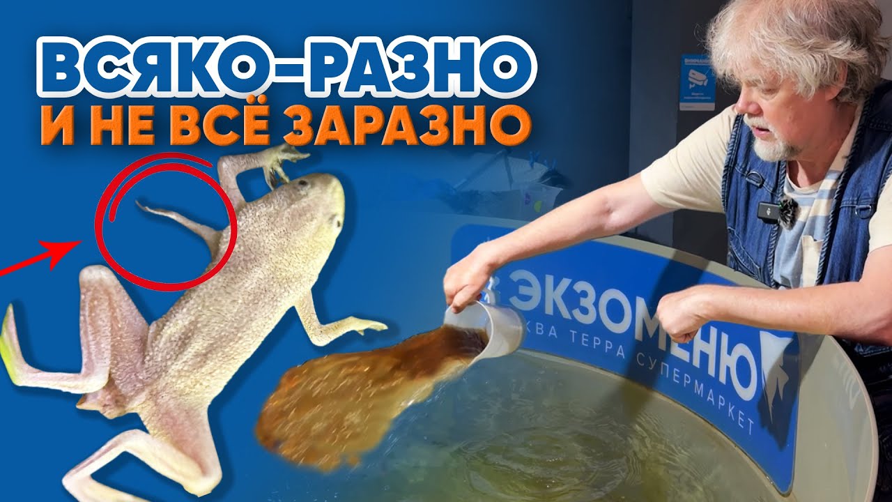 Аквариумные новости с Владимиром Ковалёвым (16.05.2025). Всяко-разно и не всё заразно!