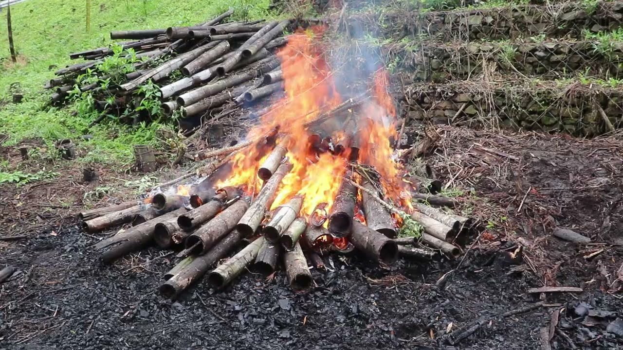 雨の降る中、枯れ竹を焼却して注意しながら畑作りを進めていく