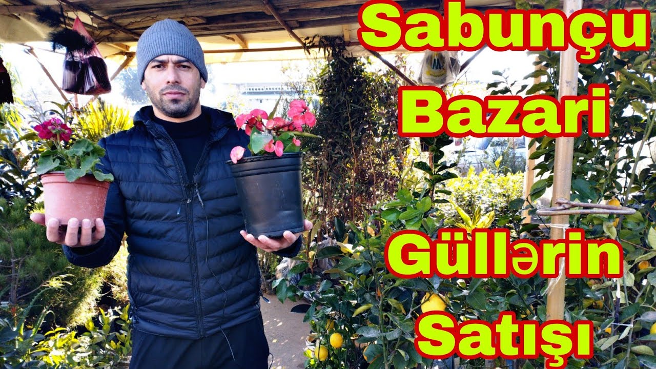 Sabunçu Bazarı Güllərin Satışı 02 03 2023