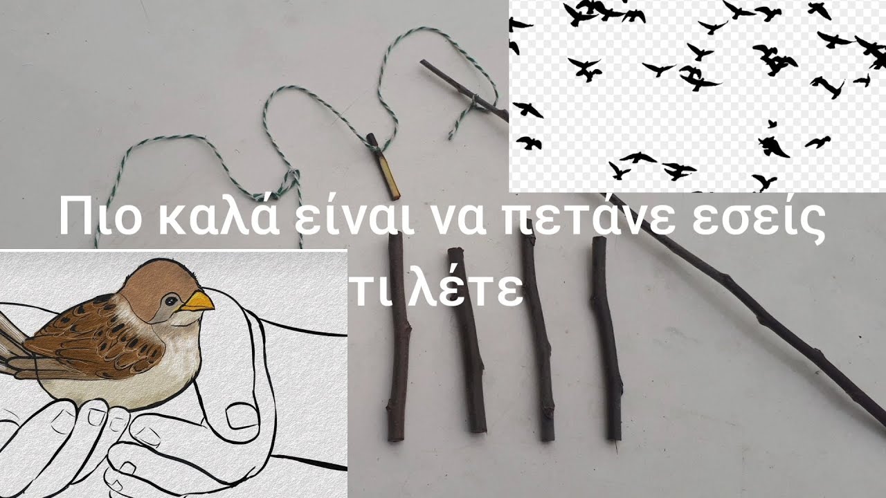 Παγίδα κατασκευή