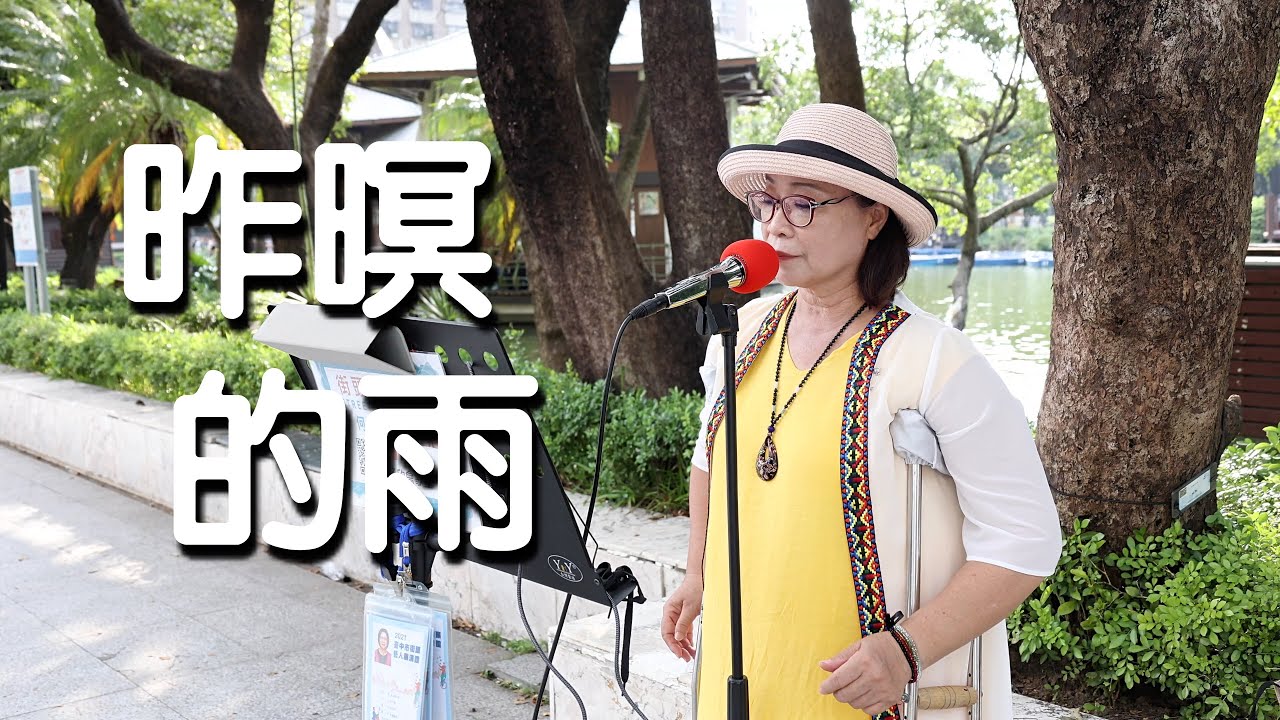 昨暝的雨 原唱 麗蓉｜何子欣 演唱｜像在印尼的台中公園 #街頭藝人