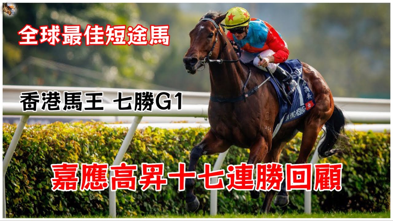 全球最佳短途馬：嘉應高昇十七連勝回顧