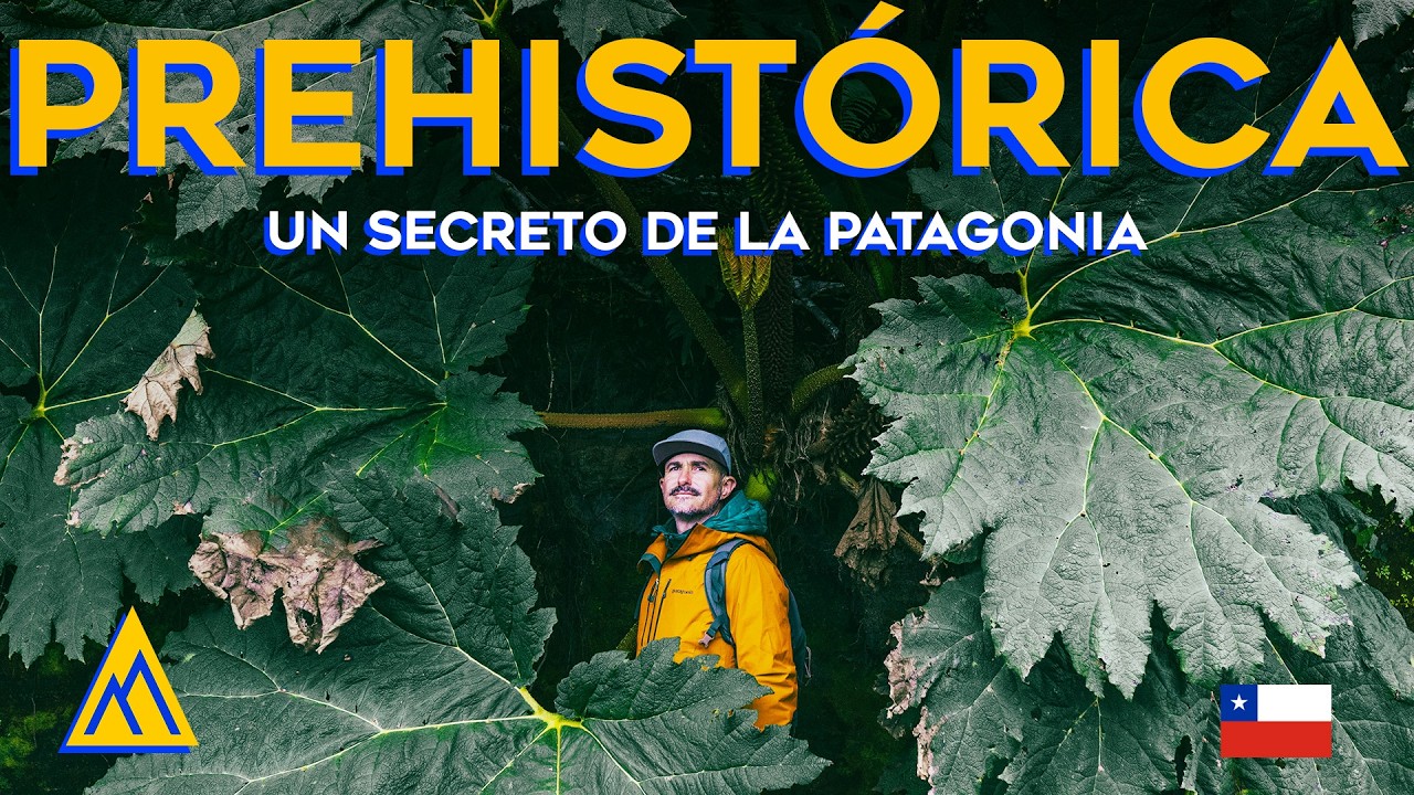 Lo que encontramos OCULTO en la Patagonia: Un misterio en la Carretera Austral EP148