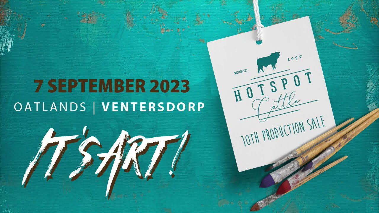 HOTSPOT CATTLE - It’s ART!