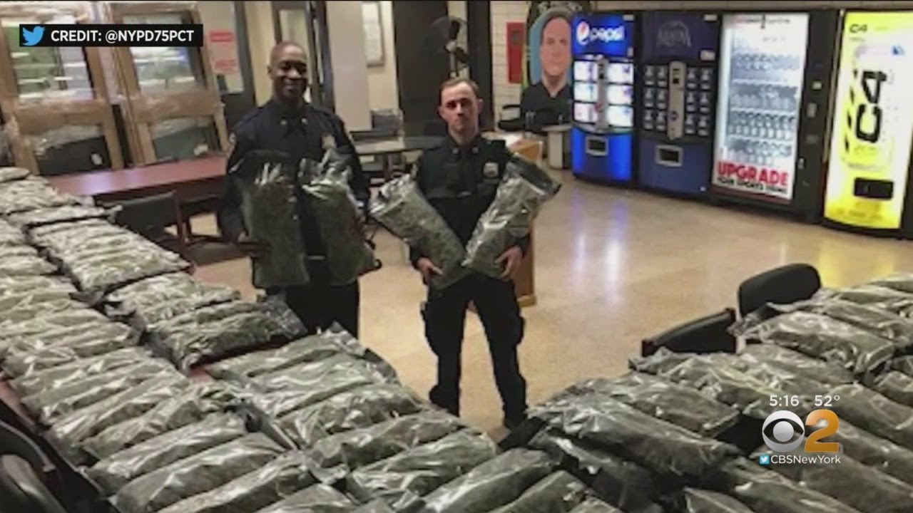 NYPD Drug Bust May Be A Hemp Store Mix-Up
