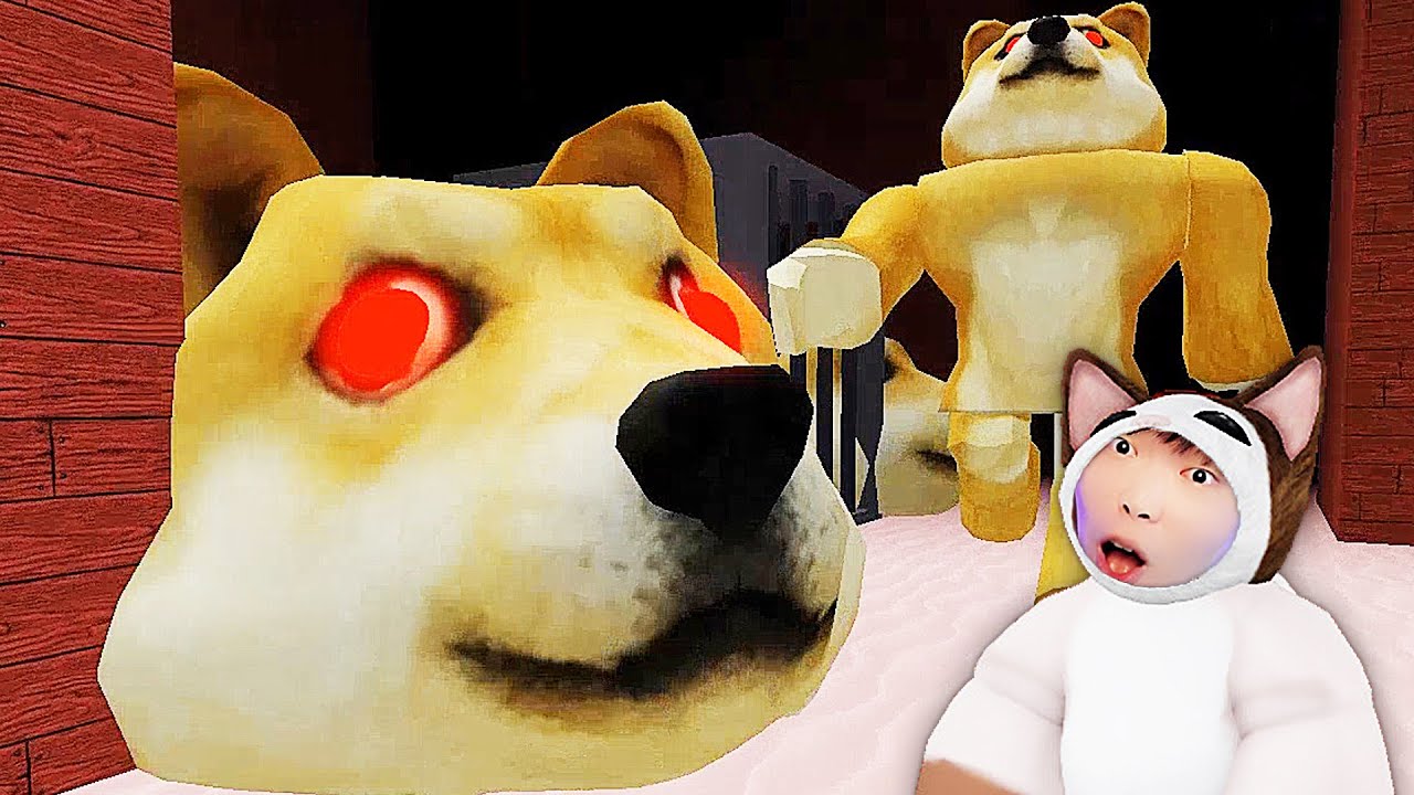 逃離Doge神煩狗頭，壹款後室和3D貓裏奧的合體遊戲 | Roblox【吊德斯DioDeS】