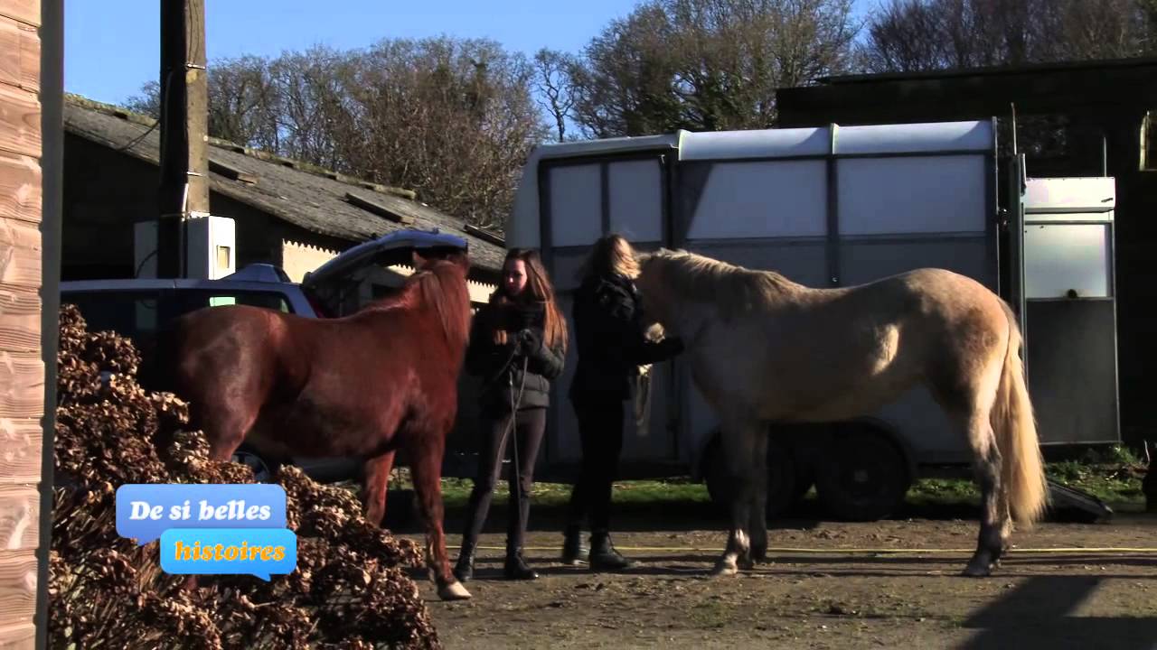 Equidia Life, De si belles histoires -  Anne Gaelle & Praline