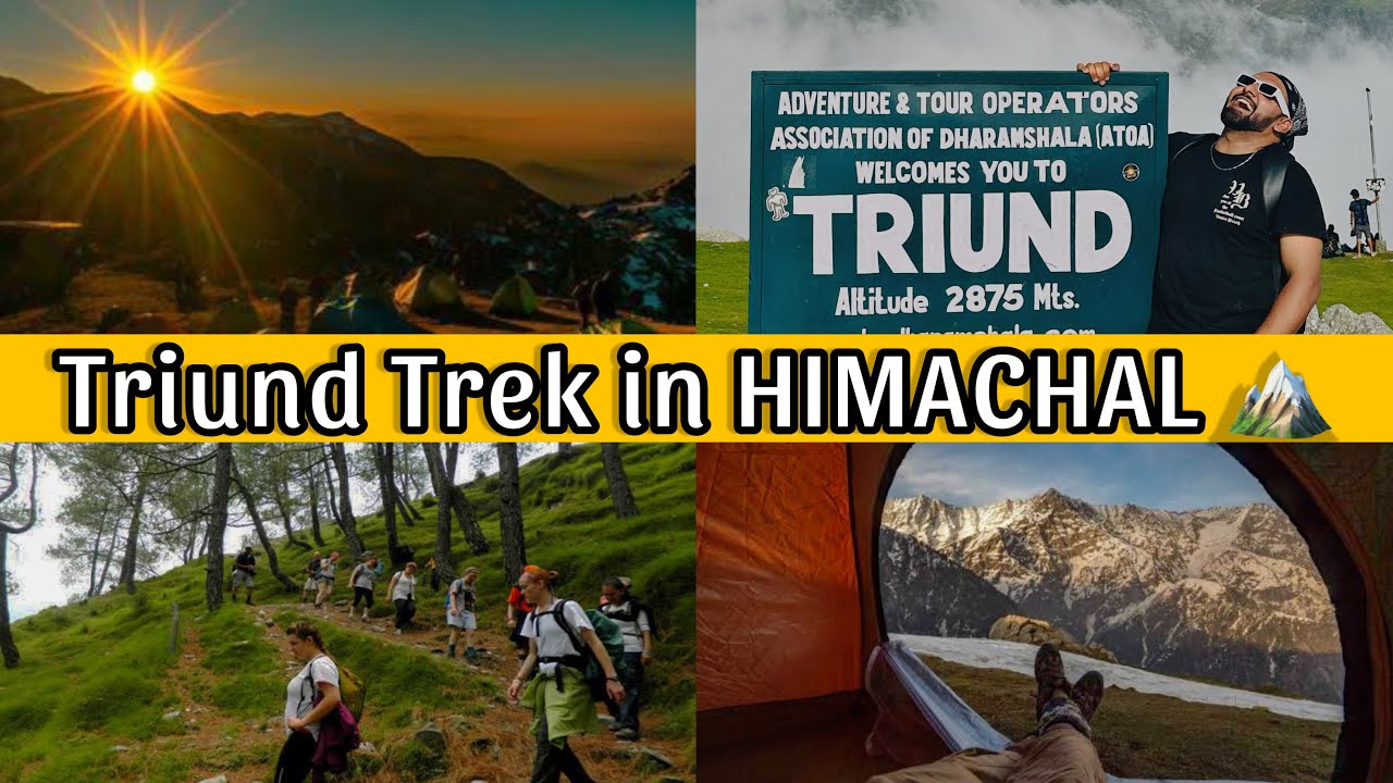 Triund Trek Mcleodganj 🏔️ | Himachal Pradesh | Full Information
