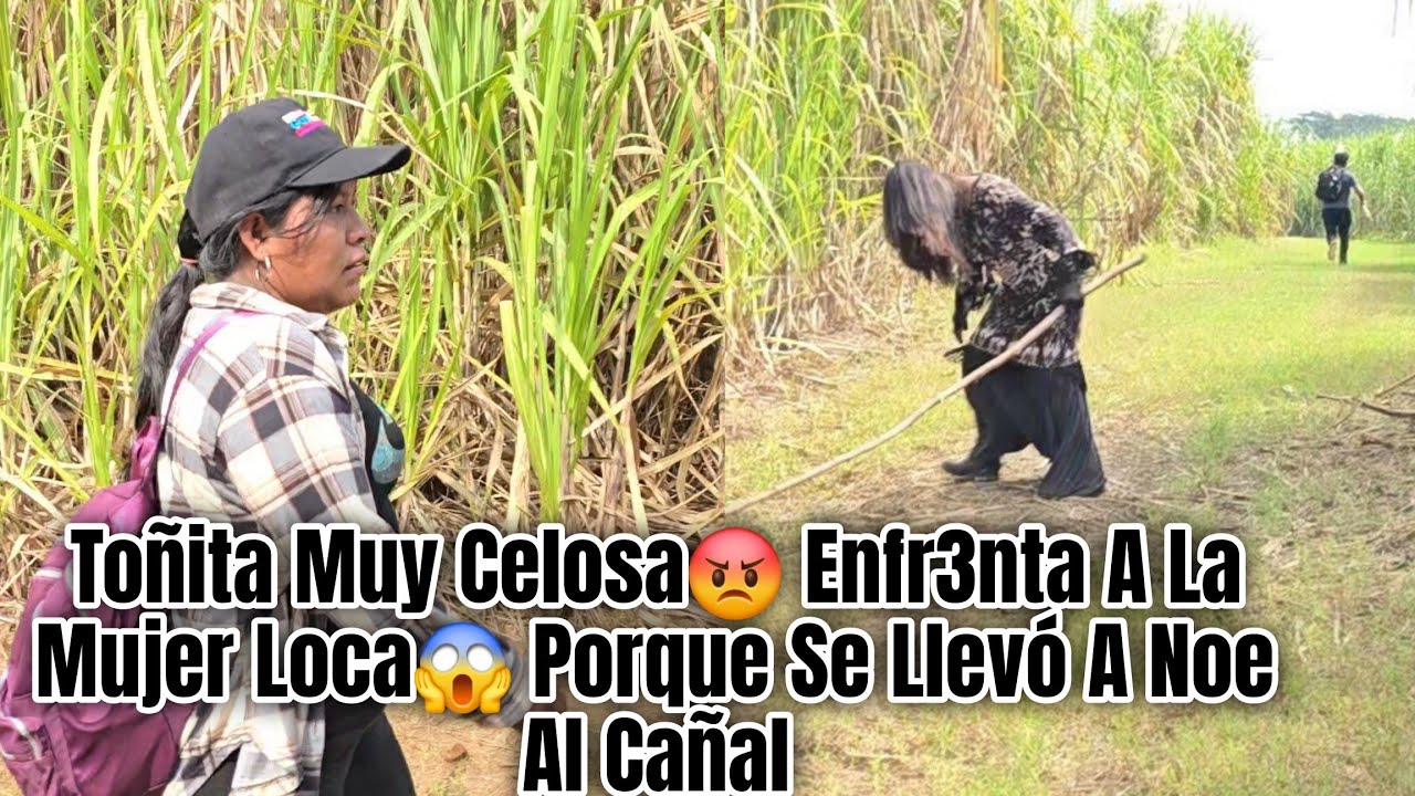 La Mujer Ioca Se Enamoró De Noe Lo Persigue Entre Los Cañales