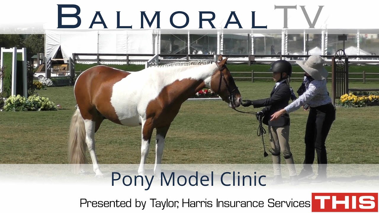 Pony Model Clinic 2019