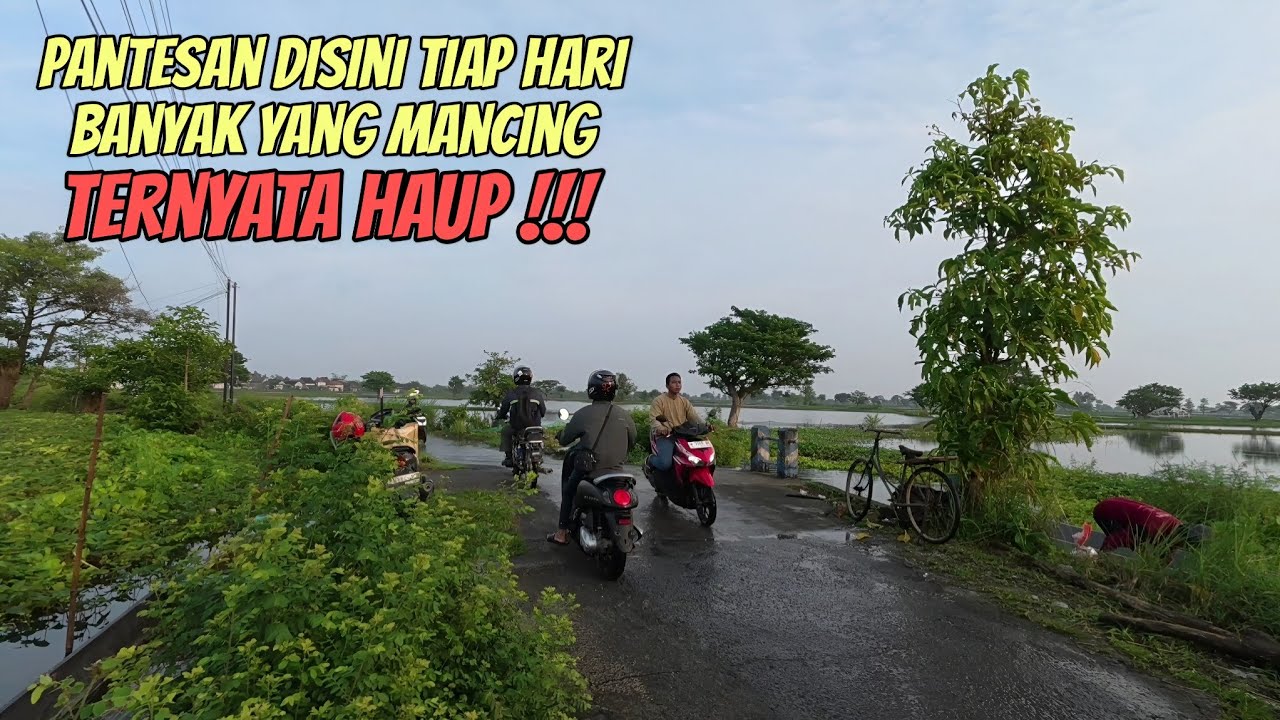 Pantesan tiap hari banyak yang mancing disini !! Tak coba ternyata haup !!