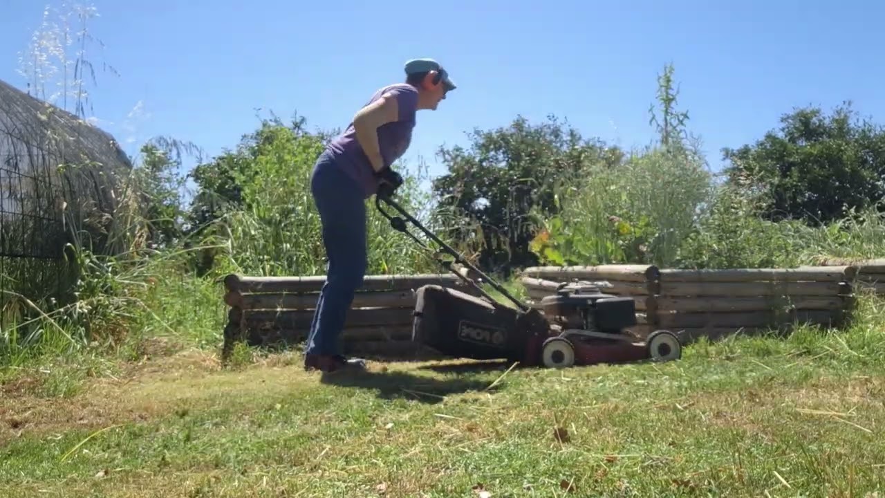 Taming the WILD
