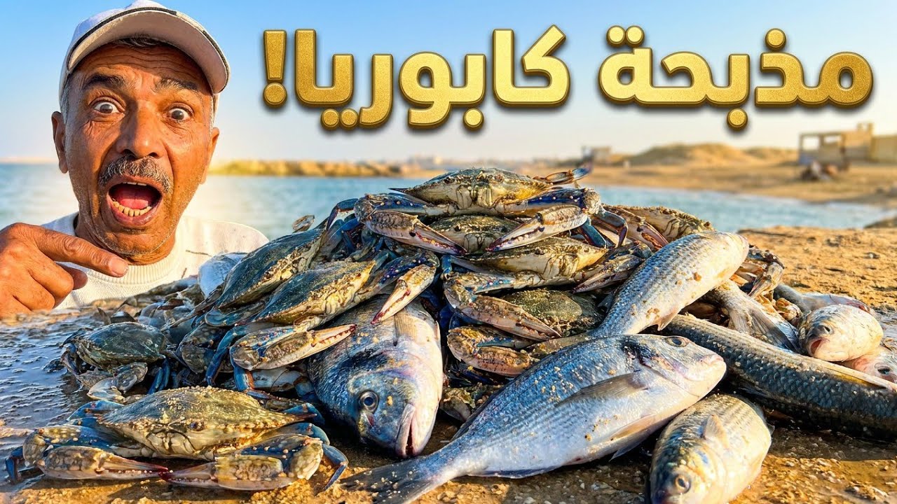 صيد الاسماك #شوف #صيد السمك البورى بالعجينه النيه فى هذا المكان #fishing #