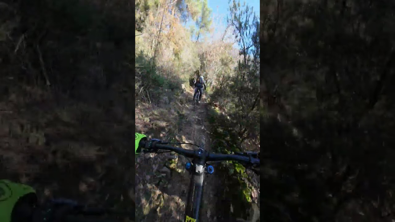 Monte Ricco MTB