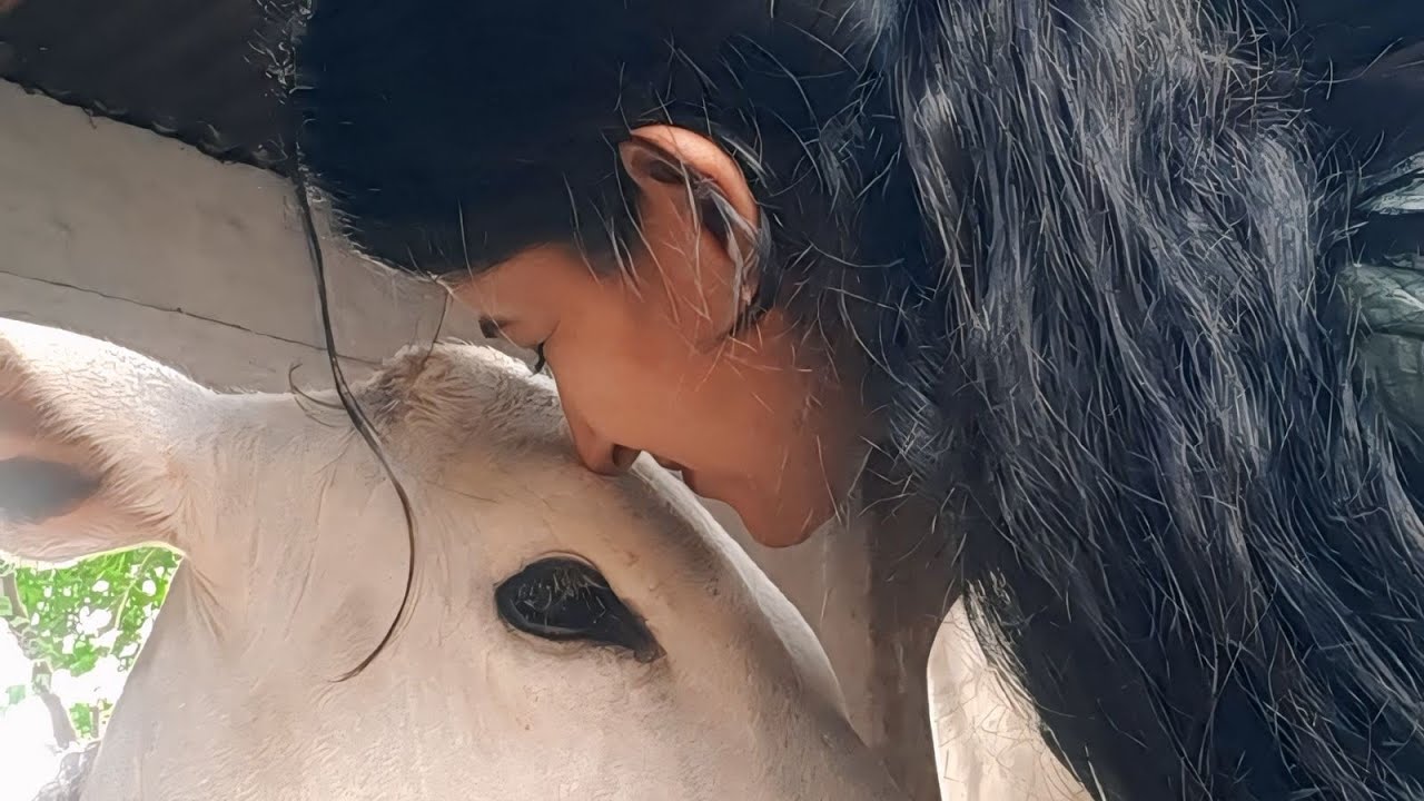 आज मंगल 🙈को गिचौड़ी की दवाई🌺 लगाई 🥺