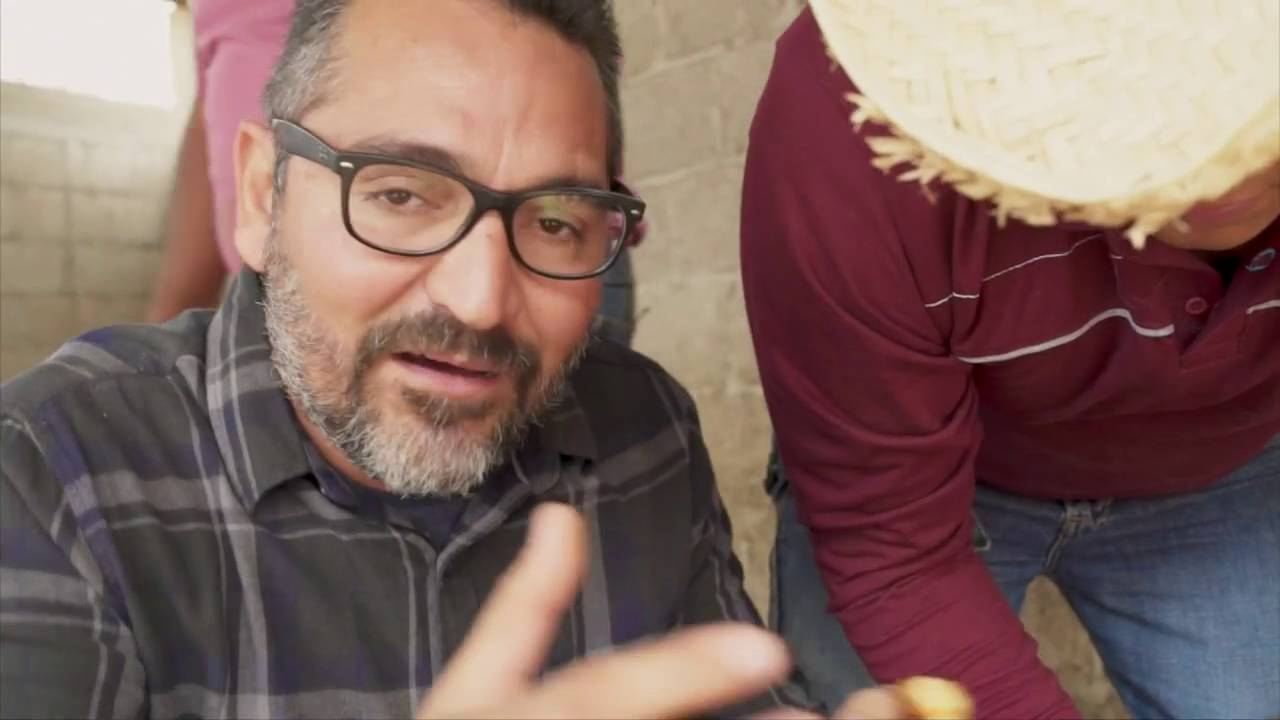 Gastronomía Mexicana: Nico y la barbacoa de Hidalgo | Cocineros Mexicanos