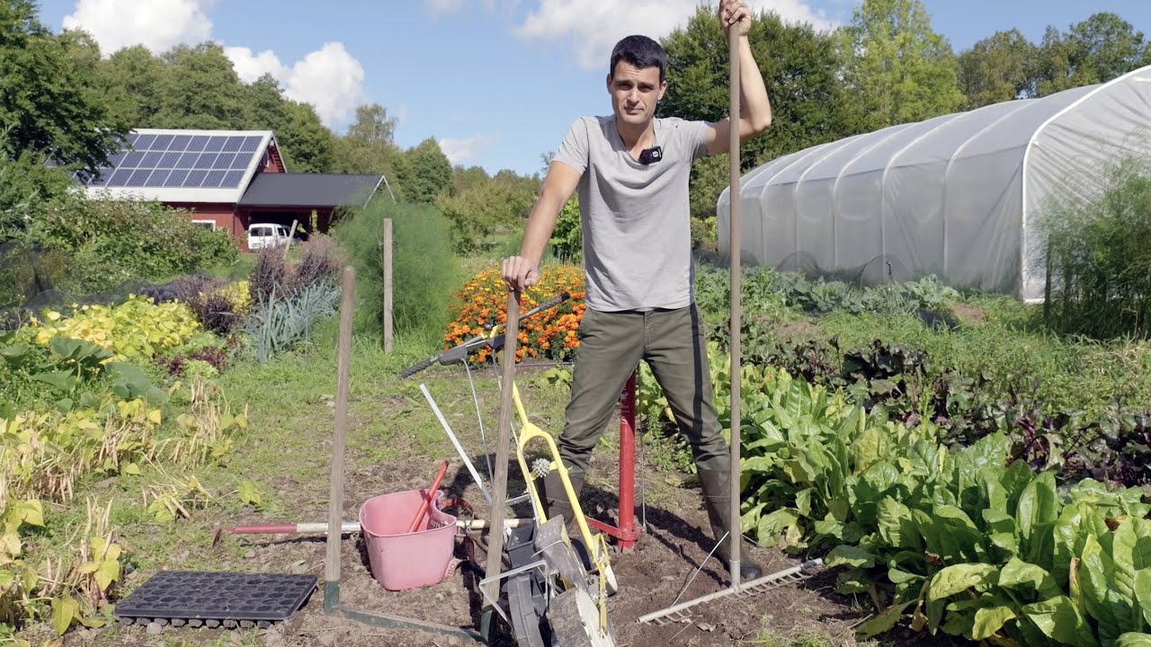 Herramientas de huerta: las esenciales, las avanzadas y las innecesarias.