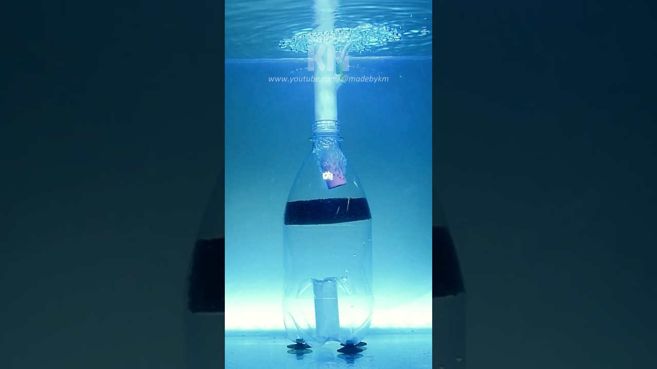 DIY Aquarium Fish Waste Filter That Works!