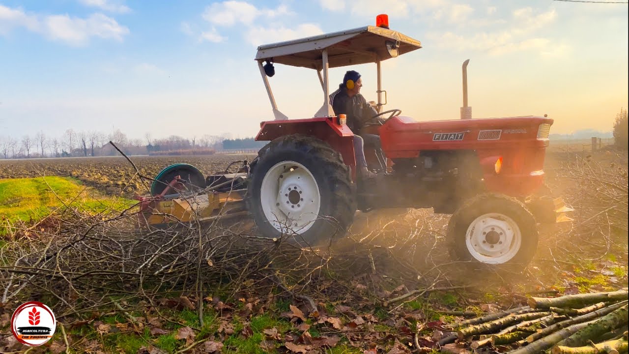 (SOUND 🚜) Fiatagri 500 Special in azione! Trinciatura delle ramaglie lungo i campi