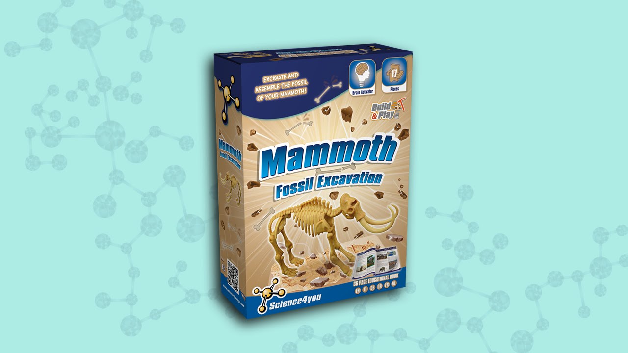 Science4you UK - Mammoth Fossil Excavation