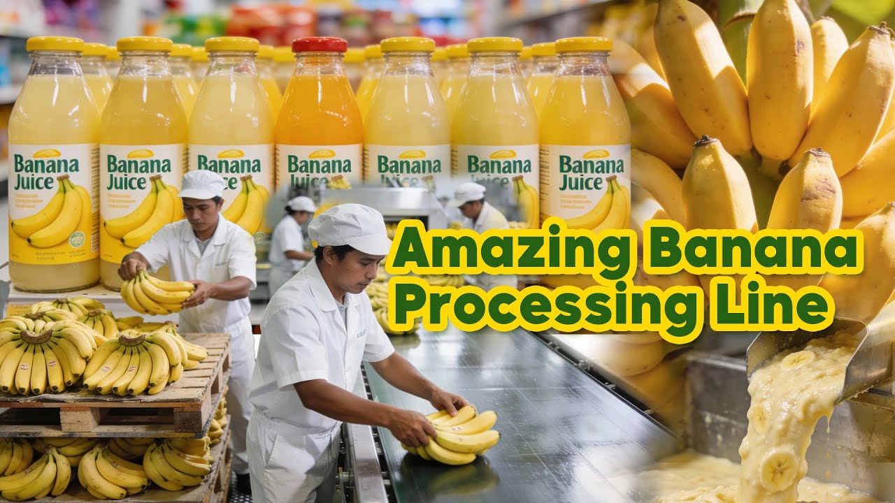 Amazing Banana Processing Line #bananajuice  #foodprocessing    #productionline  #manufacturing
