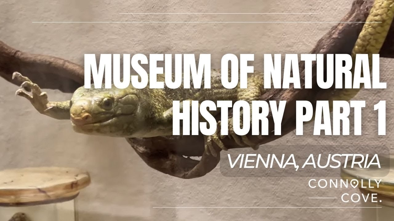 Museum of Natural History Part 1 | Vienna | Austria | Things To Do In Vienna