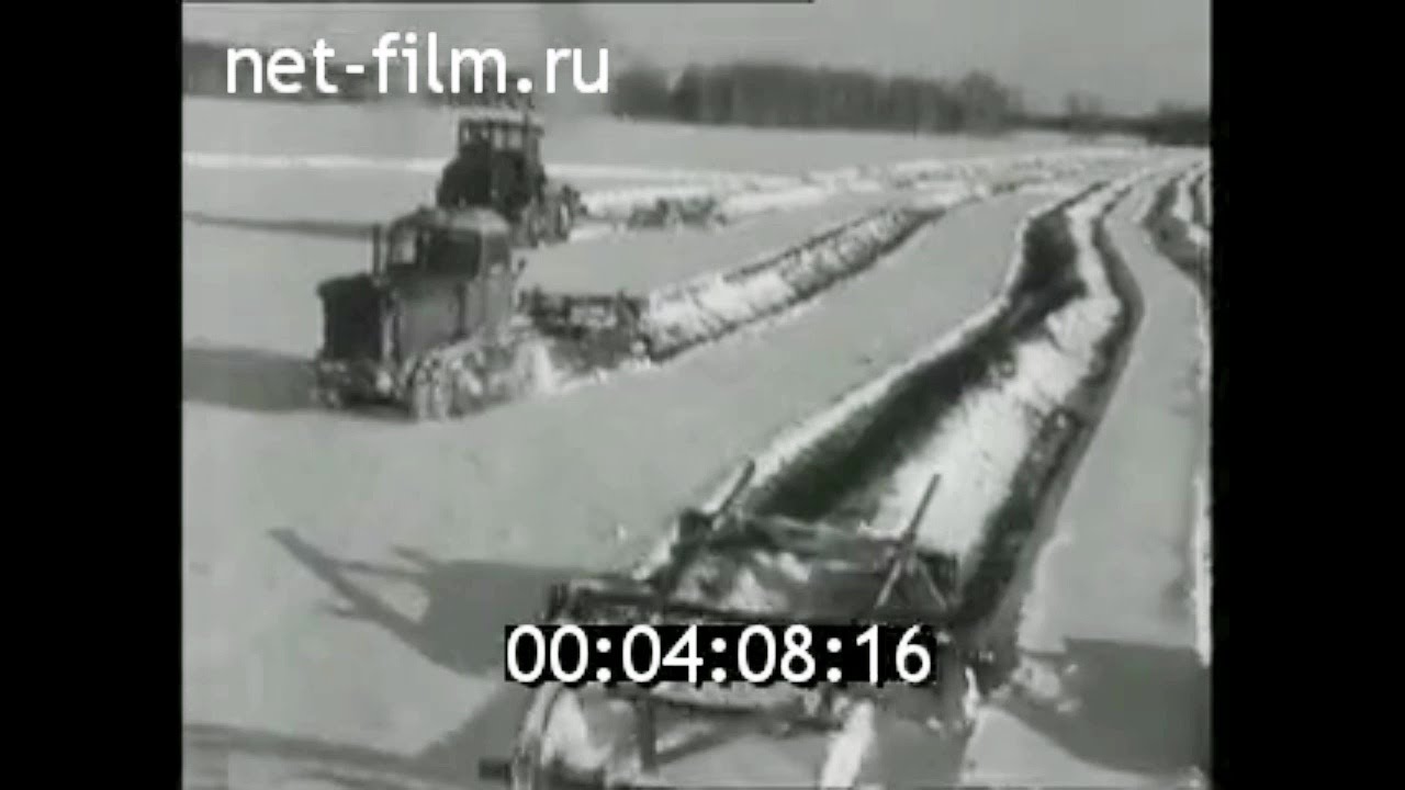 1974г. совхоз Токушинский. Северо- Казахстанская обл