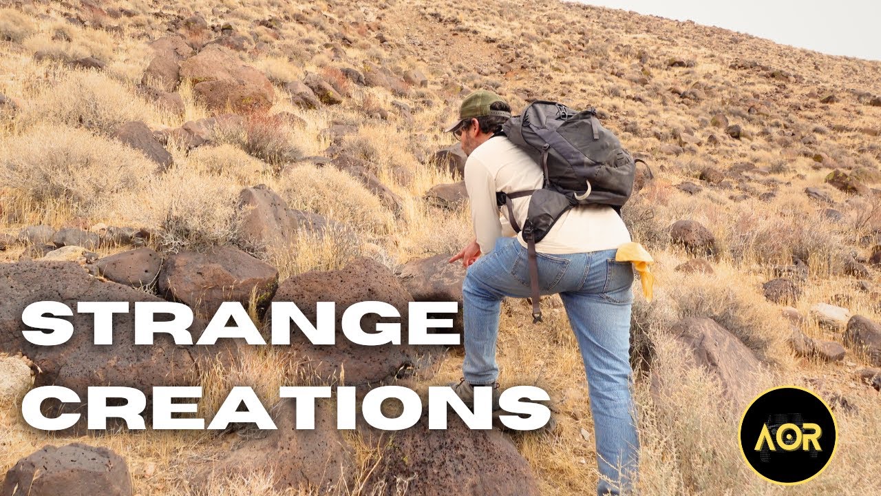 Gold Rush Era Inscriptions and Ancient Petroglyphs In the Mojave Desert