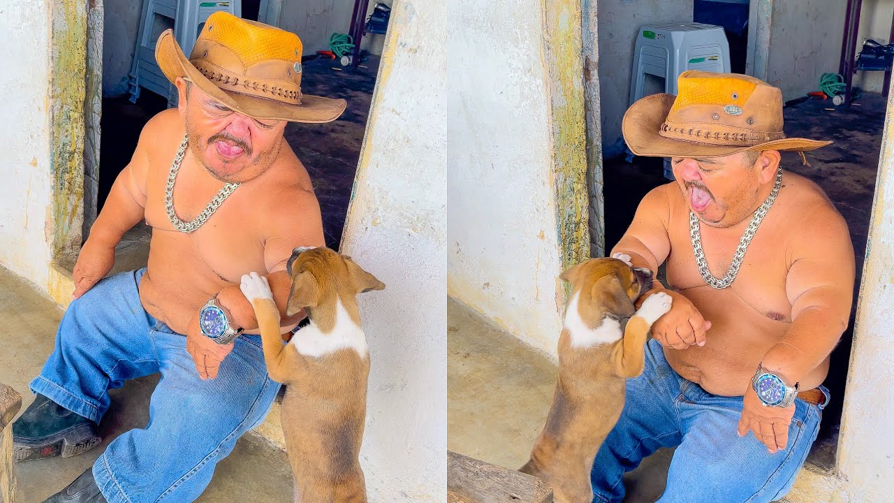 CACHORRO ATACA PILILIU | PILILIU DA RESENHA SHORTS