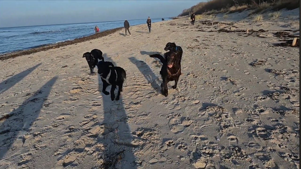 Sonntagsausflug an die Ostsee 