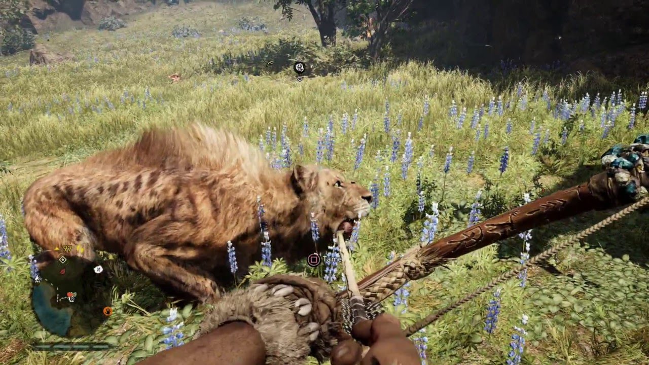 Far Cry Primal - Sabertooth Tiger Gameplay