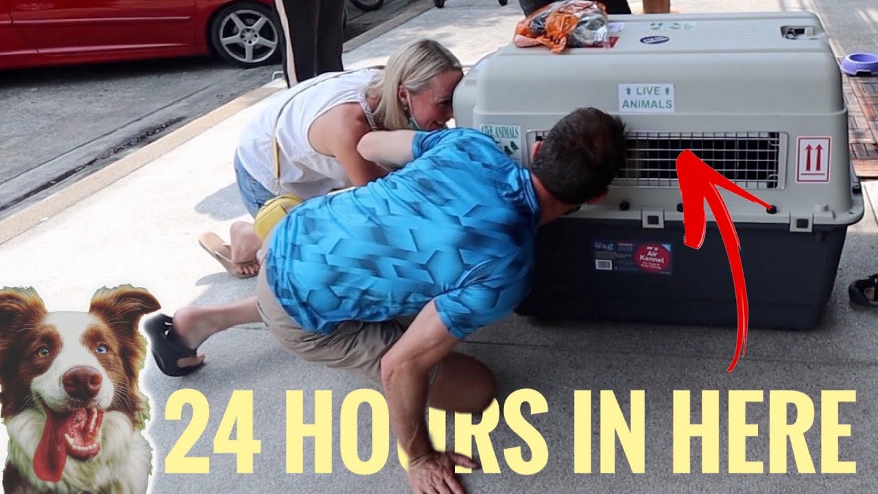 The most stressful 24 hours