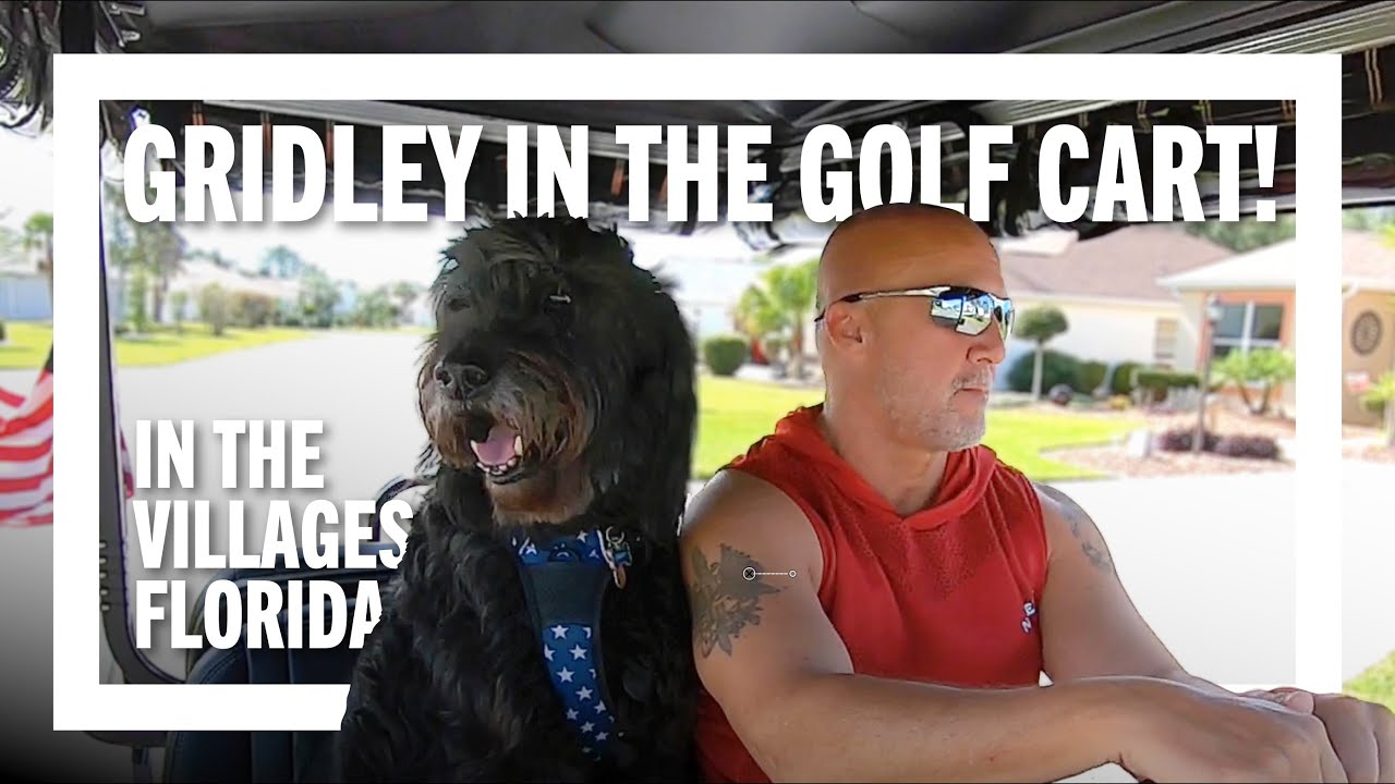 🐾 My Dog Gridley in the Golf Cart | The Villages Florida #golfcart #dog #safety #thevillages