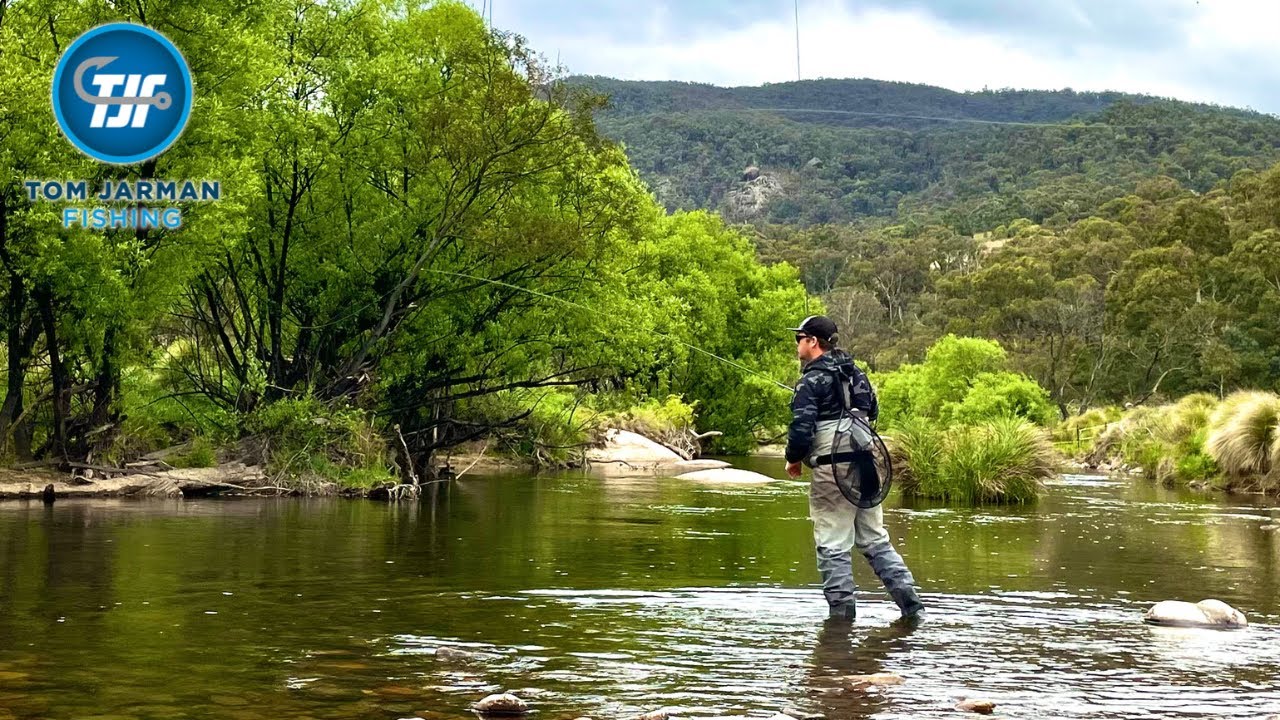 Sydney Fly Fishing for Brown Trout