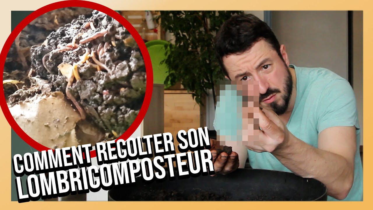 JE RECOLTE LE COMPOSTE de mon LOMBRICOMPOSTEUR !(ce que je trouve dedans est surprenant !)c'est faux