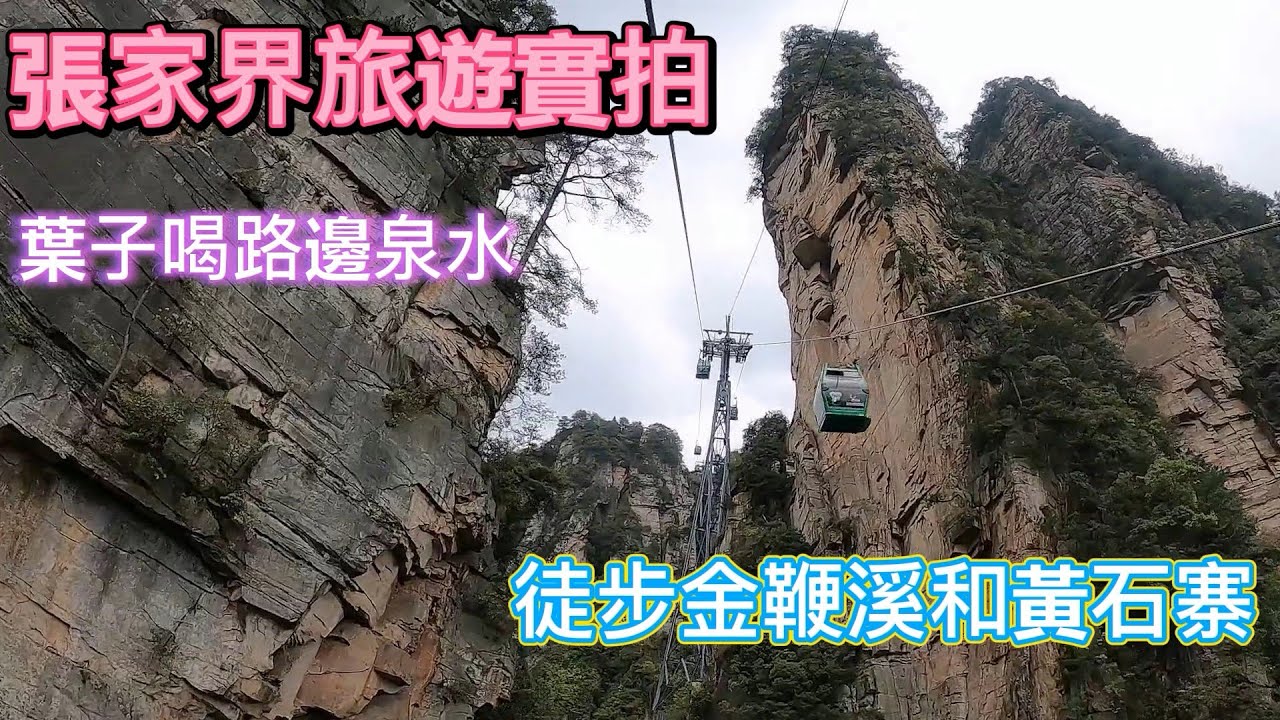 張家界旅遊2：全程實拍依舊人山人海|徒步金鞭溪和黃石寨|徒步下山偶遇小姐姐用葉子喝路邊鴛鴦泉